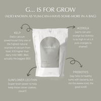 *PRE-ORDER* Family Pack