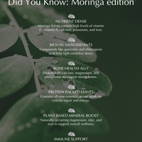 Family Friendly Moringa Supergreens