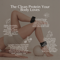 Organic Daily Protein | Vanilla