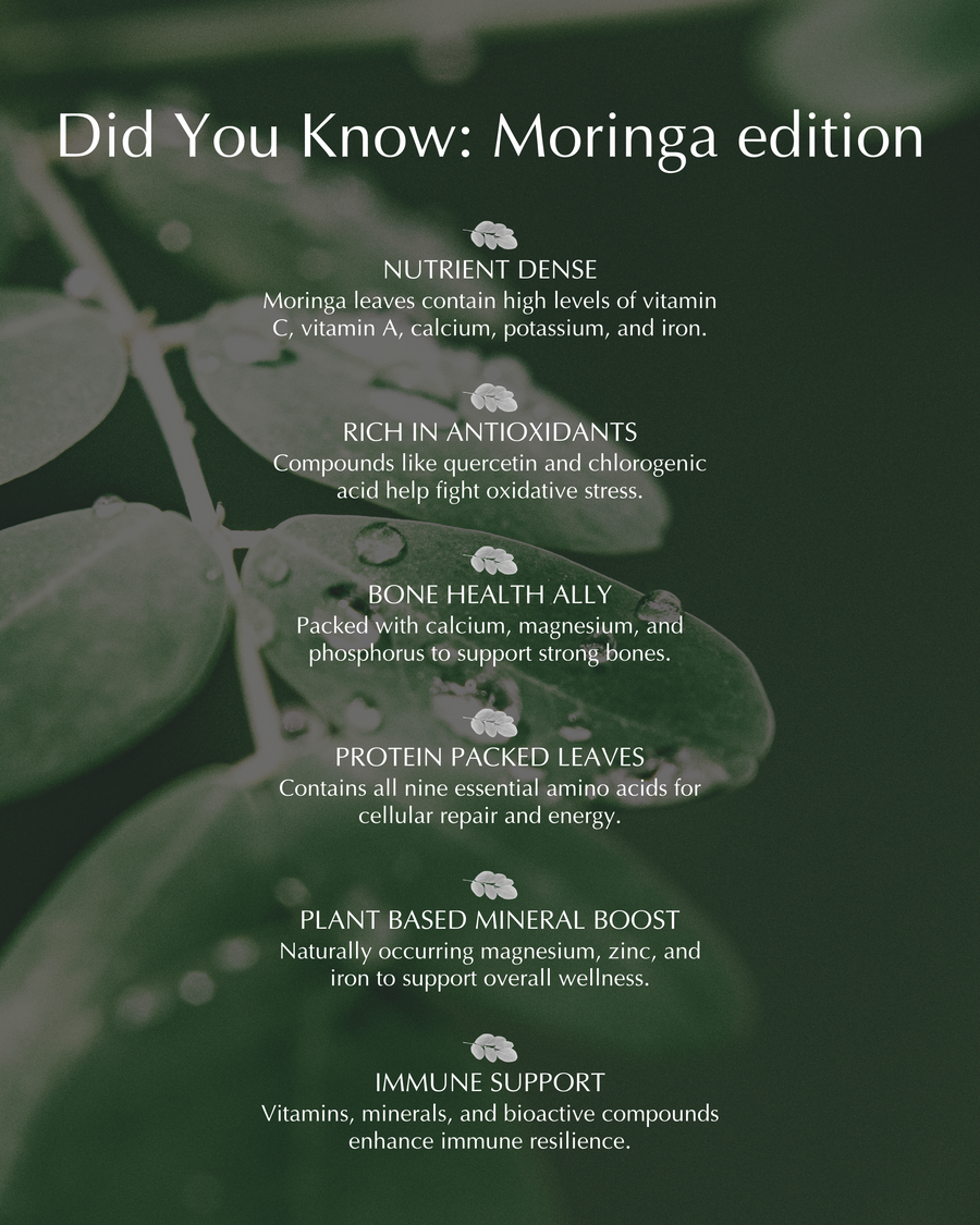 *PRE-ORDER* Family Friendly Moringa Supergreens