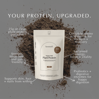 Organic Daily Protein | Chocolate