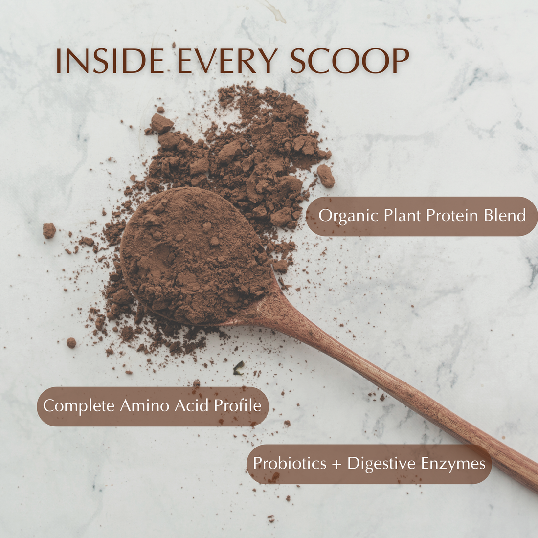 Organic Daily Protein | Chocolate