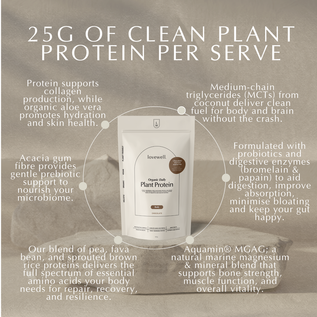 Organic Daily Protein | Chocolate