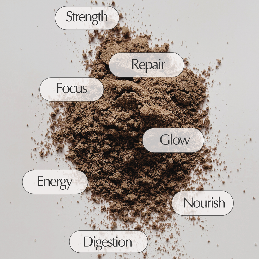 Organic Daily Protein | Chocolate