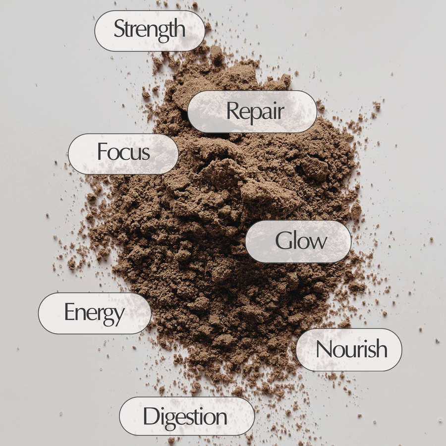 Organic Daily Protein | Chocolate